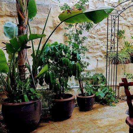 הגן הקסום, הצימר בבאר שבע Hotel Kültér fotó